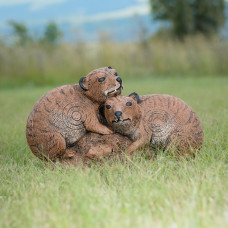 Wildcrete Dassie Pair